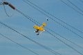 Chopper Bob High Wire2